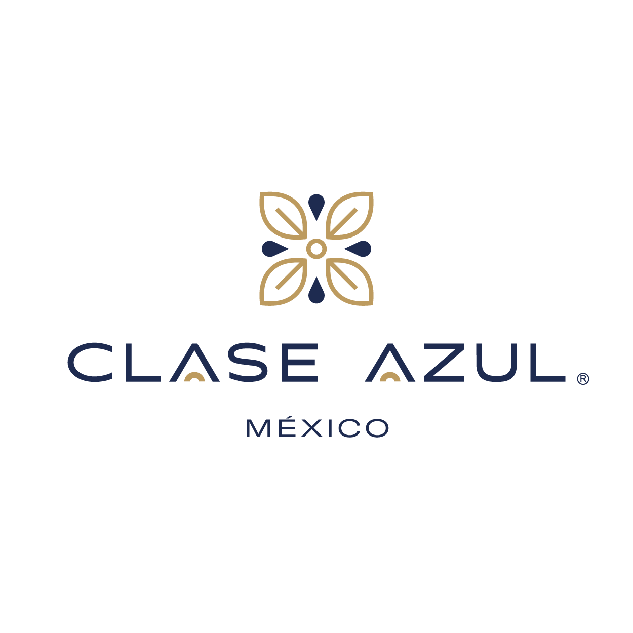 Com Cam México